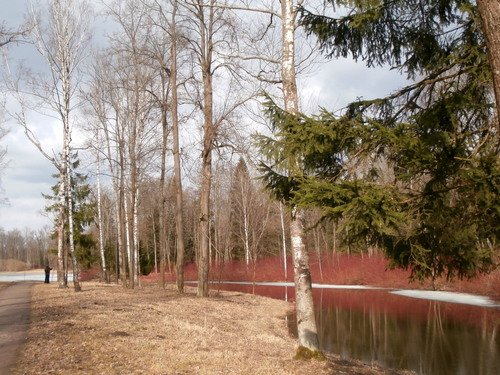 Весна в Александровском парке