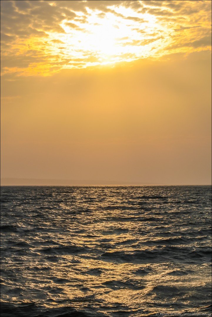 Золотое Море Фото