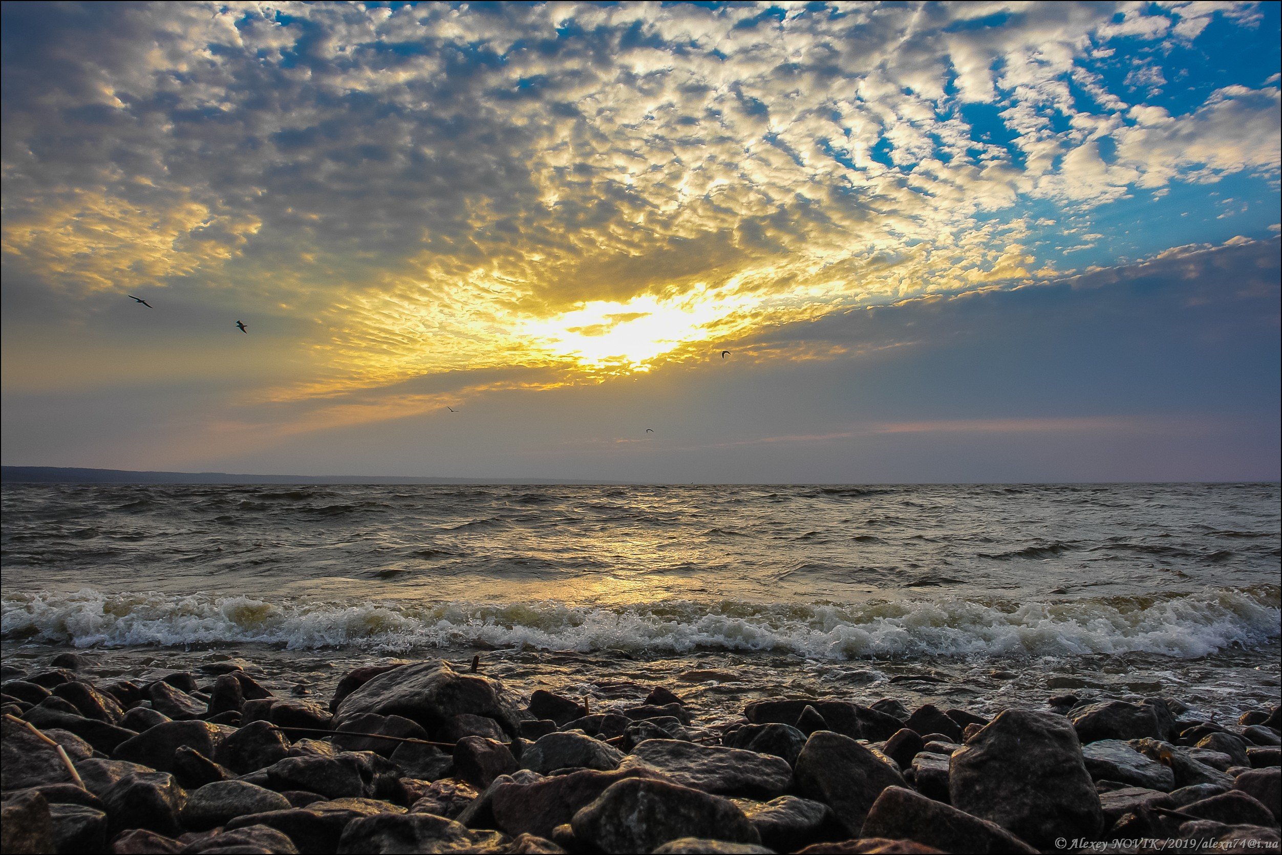 Золотое море. Каховское море. Золотое море фото. Золотое море песня.