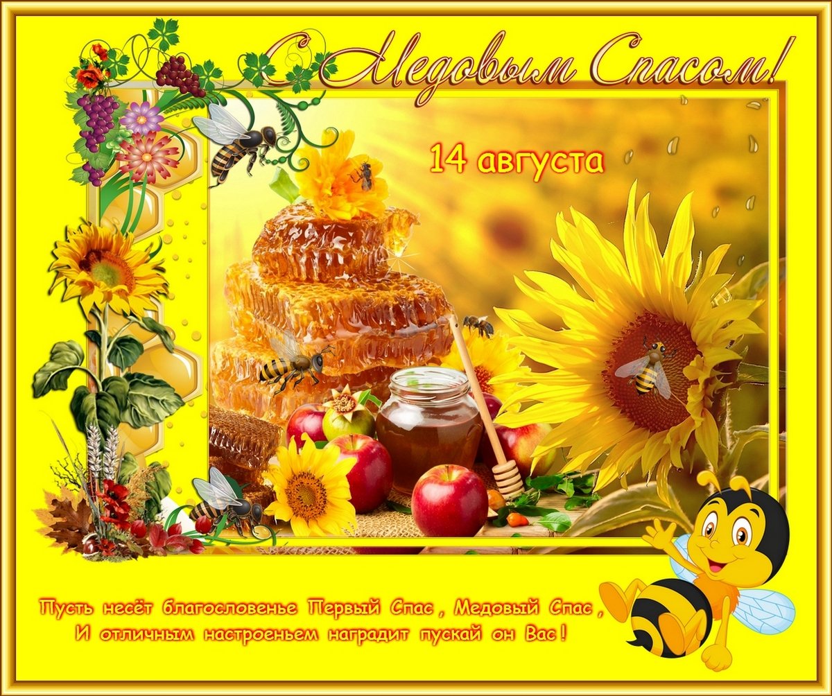 Томаты Медовый Спас Фото