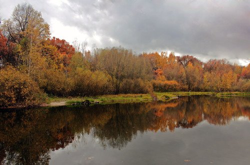 Осень в Терлецком парке.