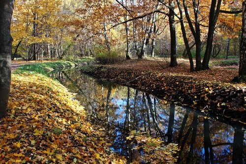 Осенний парк.