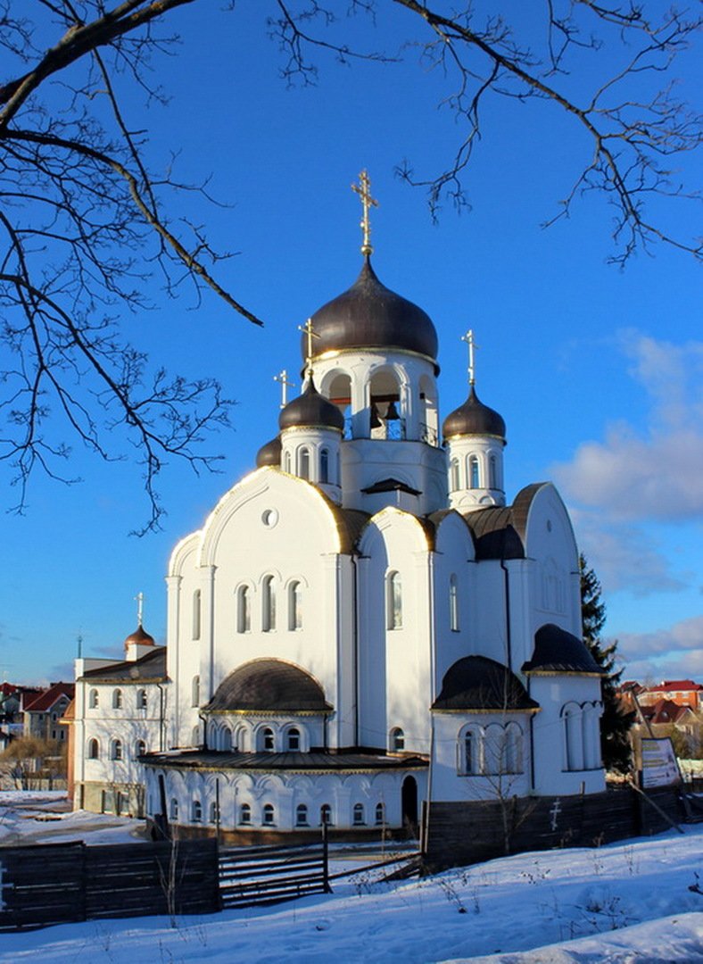 Воскресенское в москве