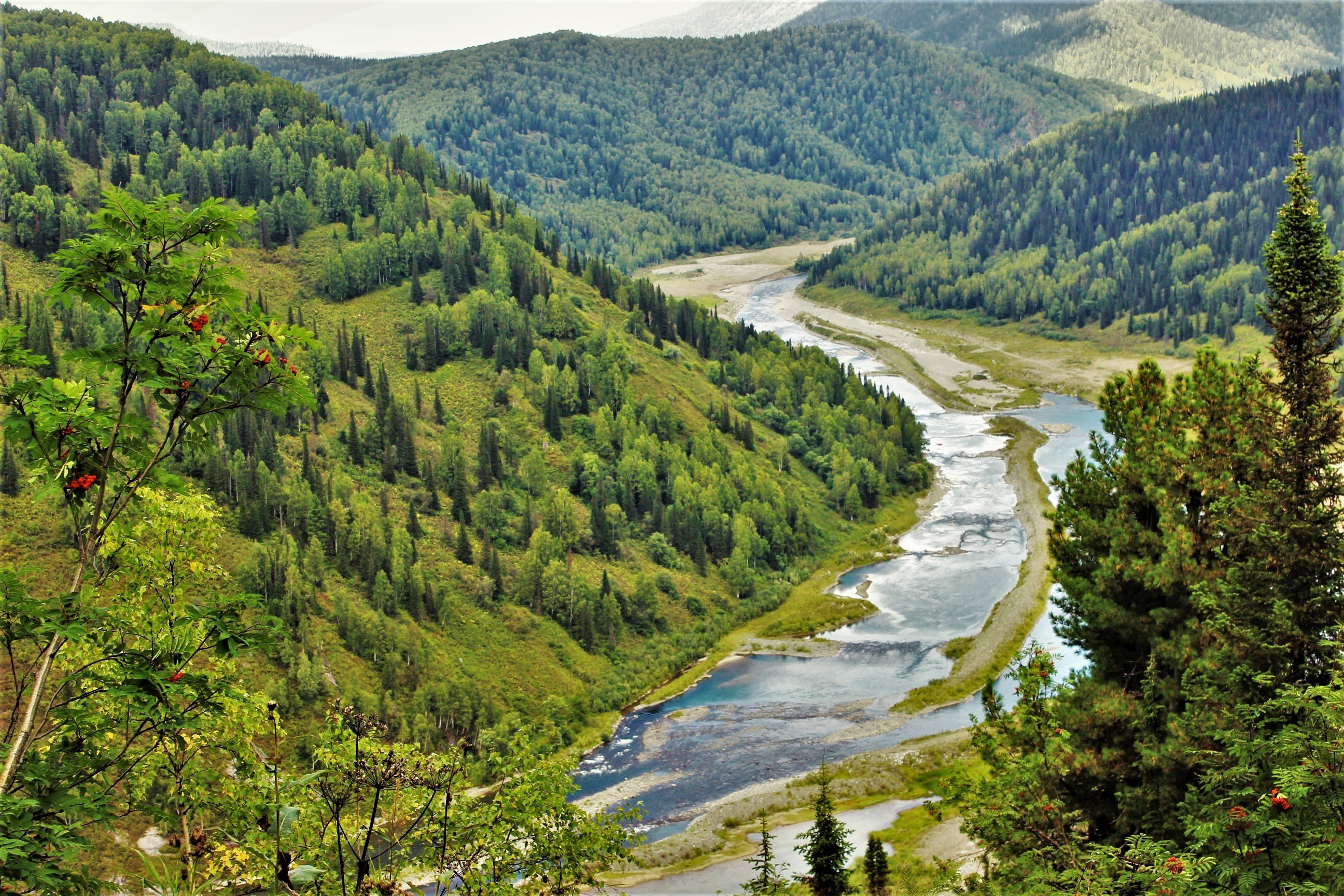 Долина реки. Лог Долины реки. Речная Долина. Речные Долины России. Речная Долина реки это.