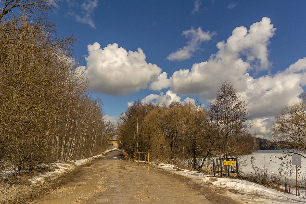 Воронеж весной фото