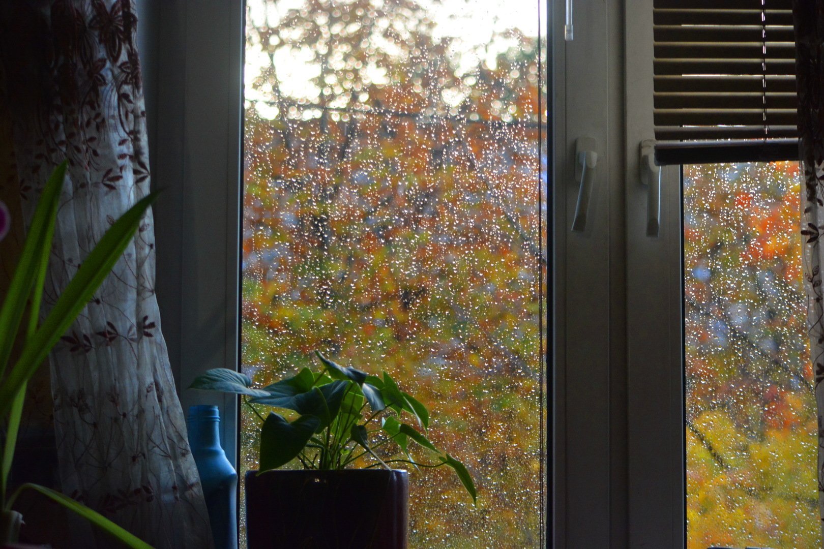 Осень дождь за окном фото