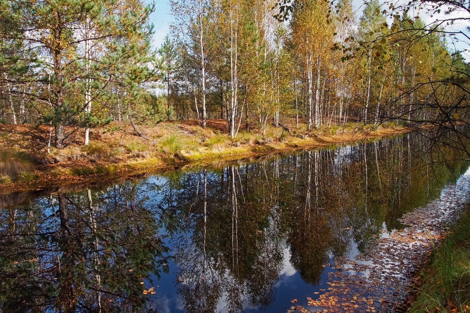 Керженский заповедник фотографии