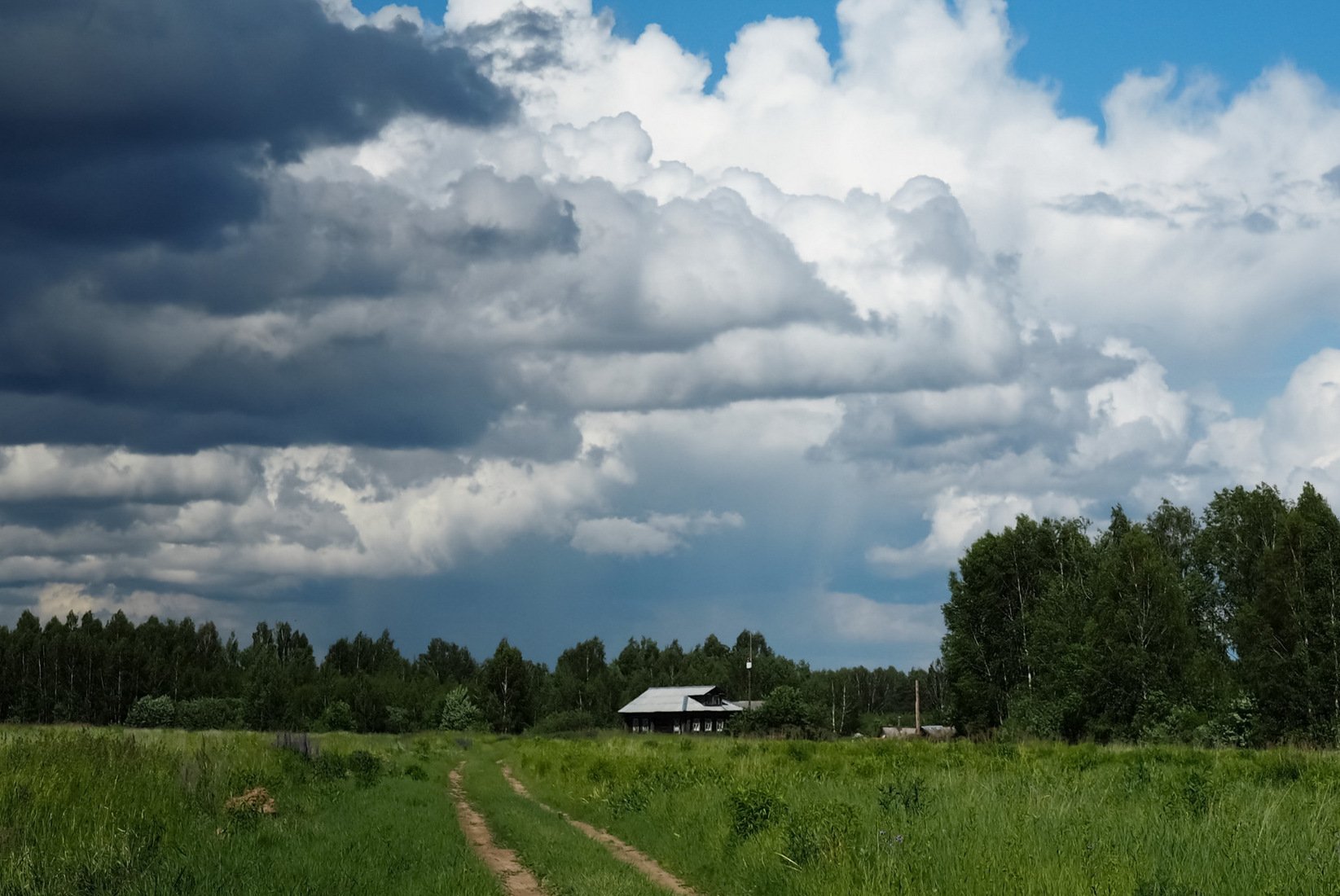 Описание фотографии летняя гроза.