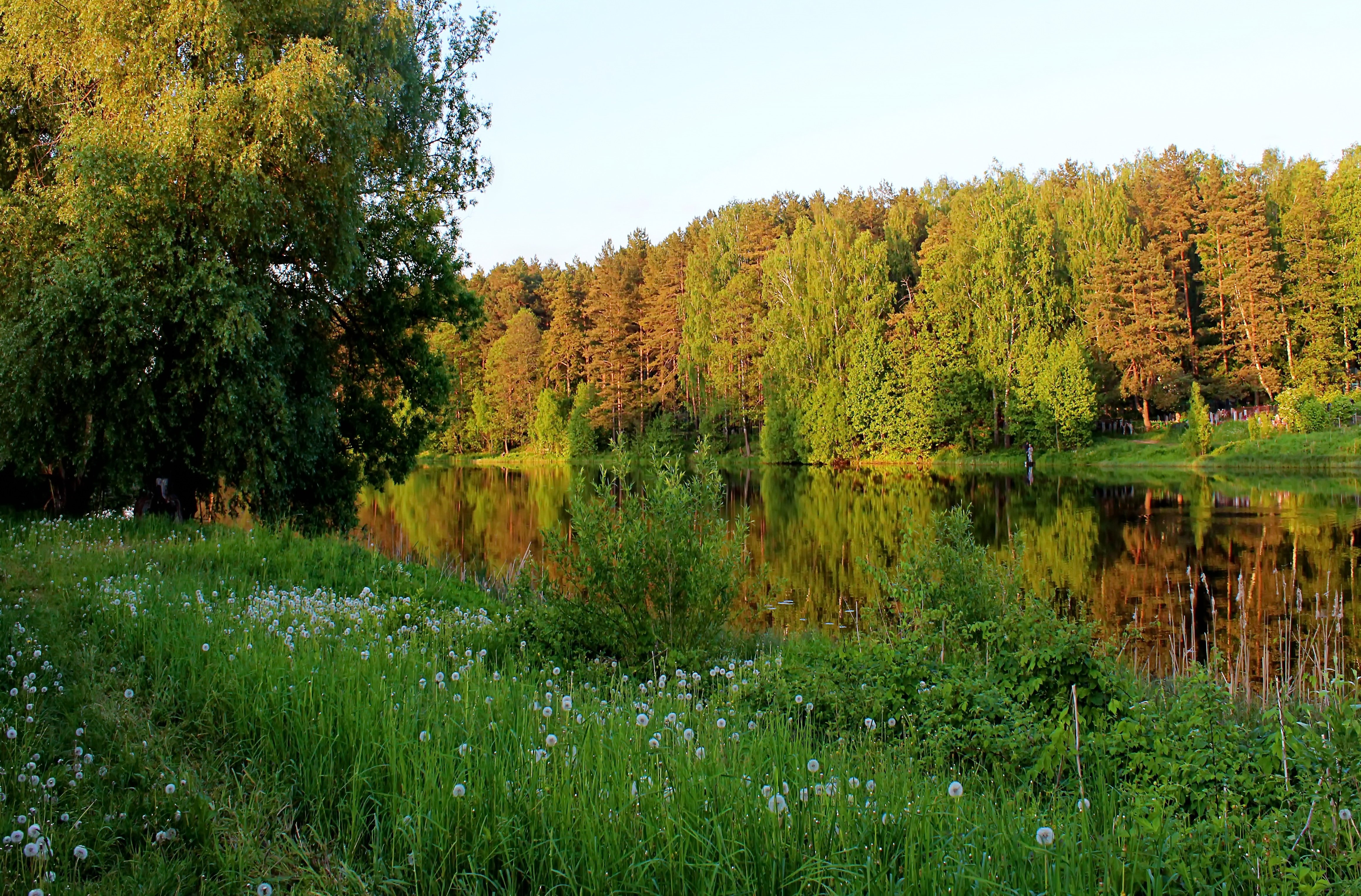 Песочня сайт кирова