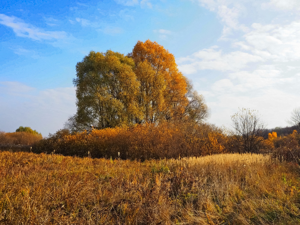 Село октябрь