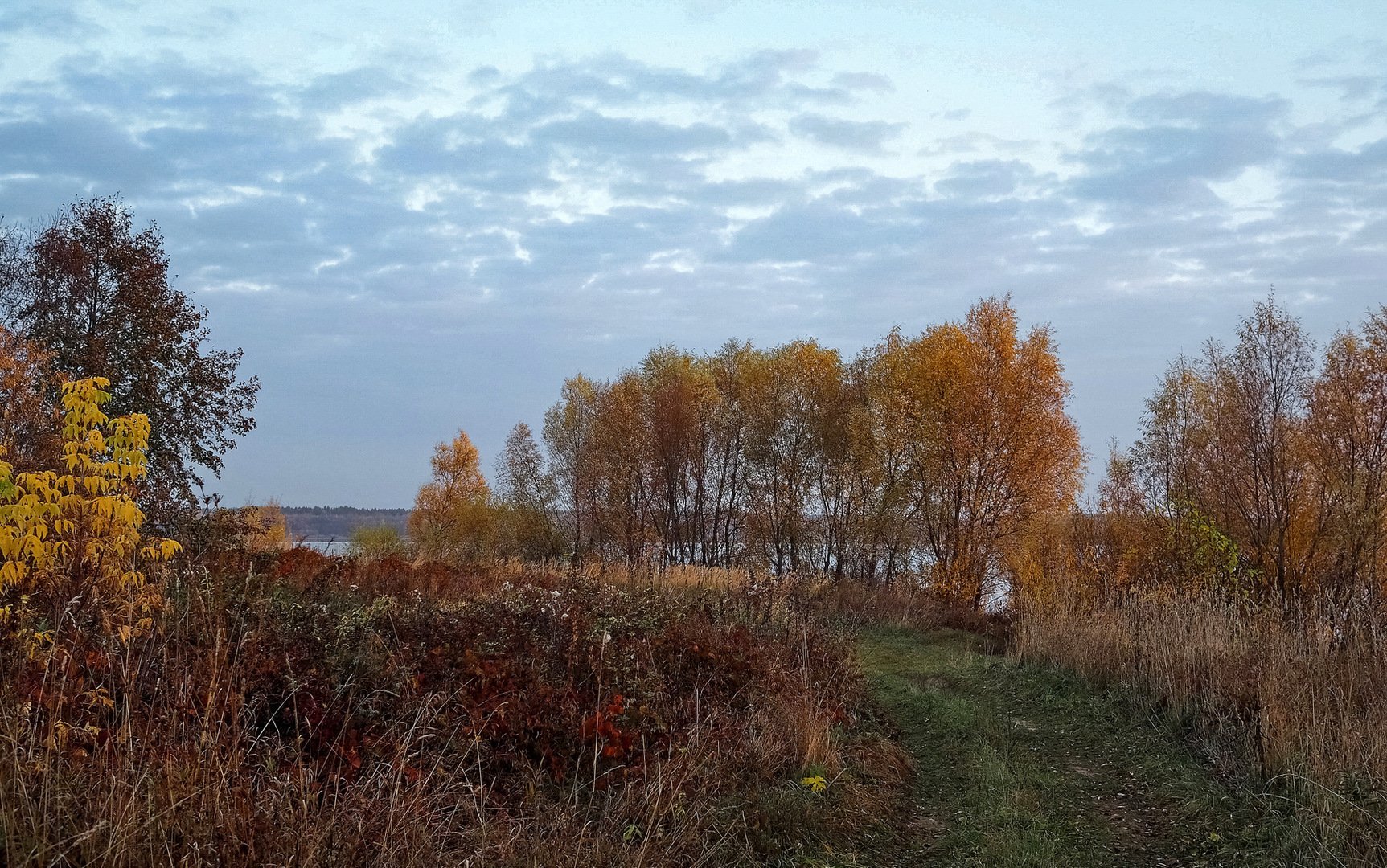 Село октябрь. Фото пейзажи фотографов любителей.