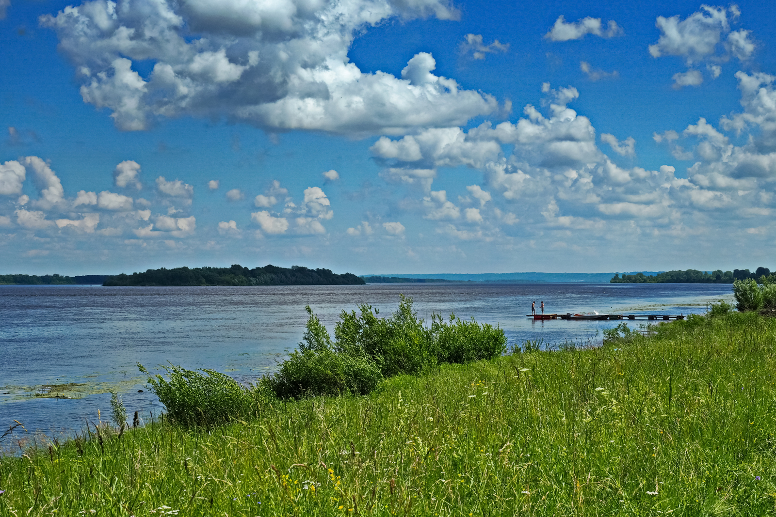 Село волжское. Юркино Волга. Июль на Волге.