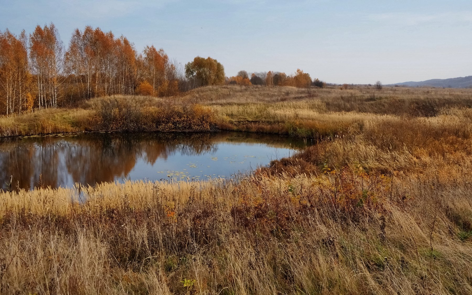 Был октябрь на лугах. Даль необозримая