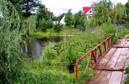 мостик через пруд