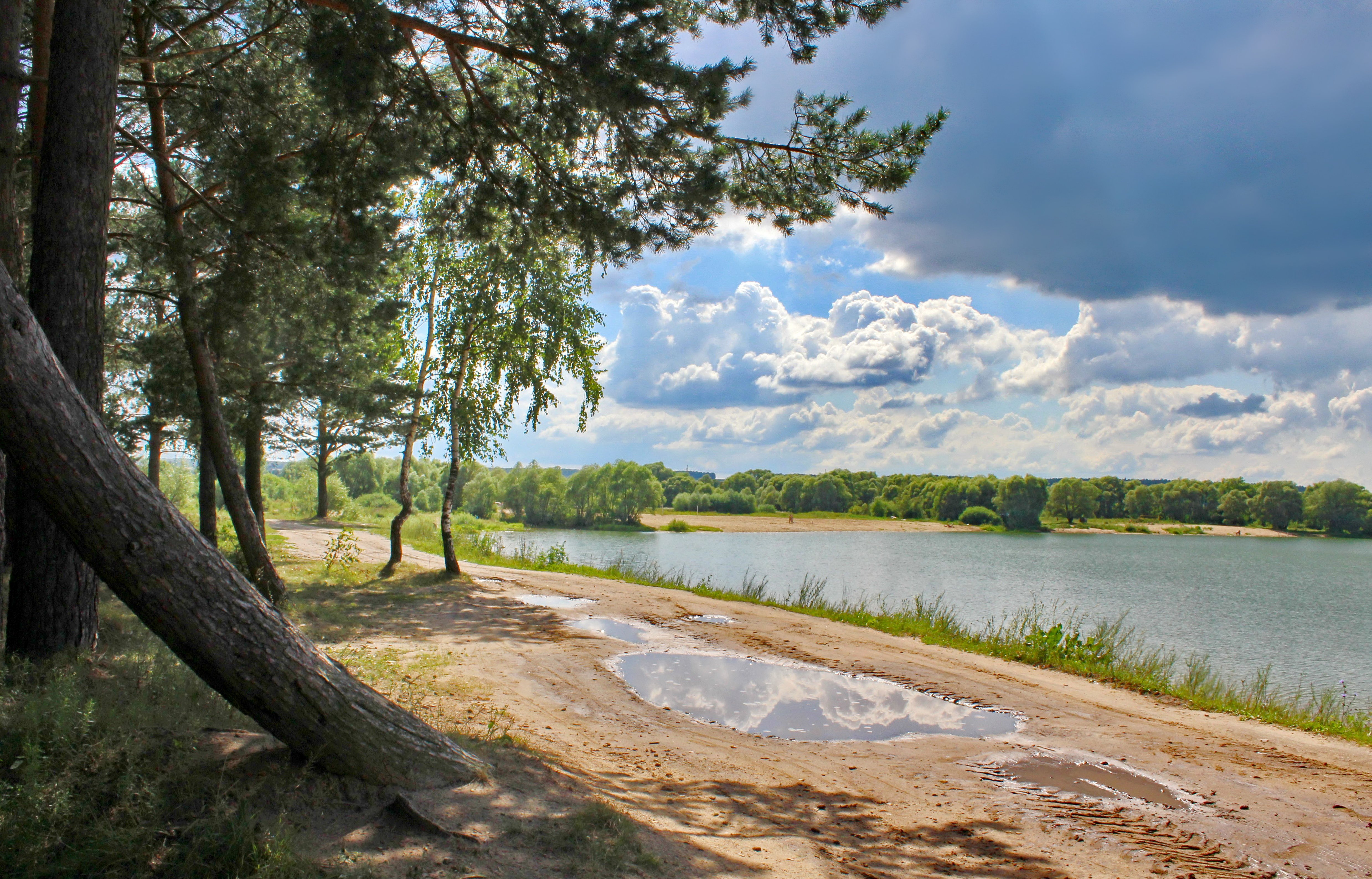 Озеро на берегу которого расположены. Озеро белый берег Бобруйск. Белый берег Ленинградская область. Белые берега озеро. На берегу озера.