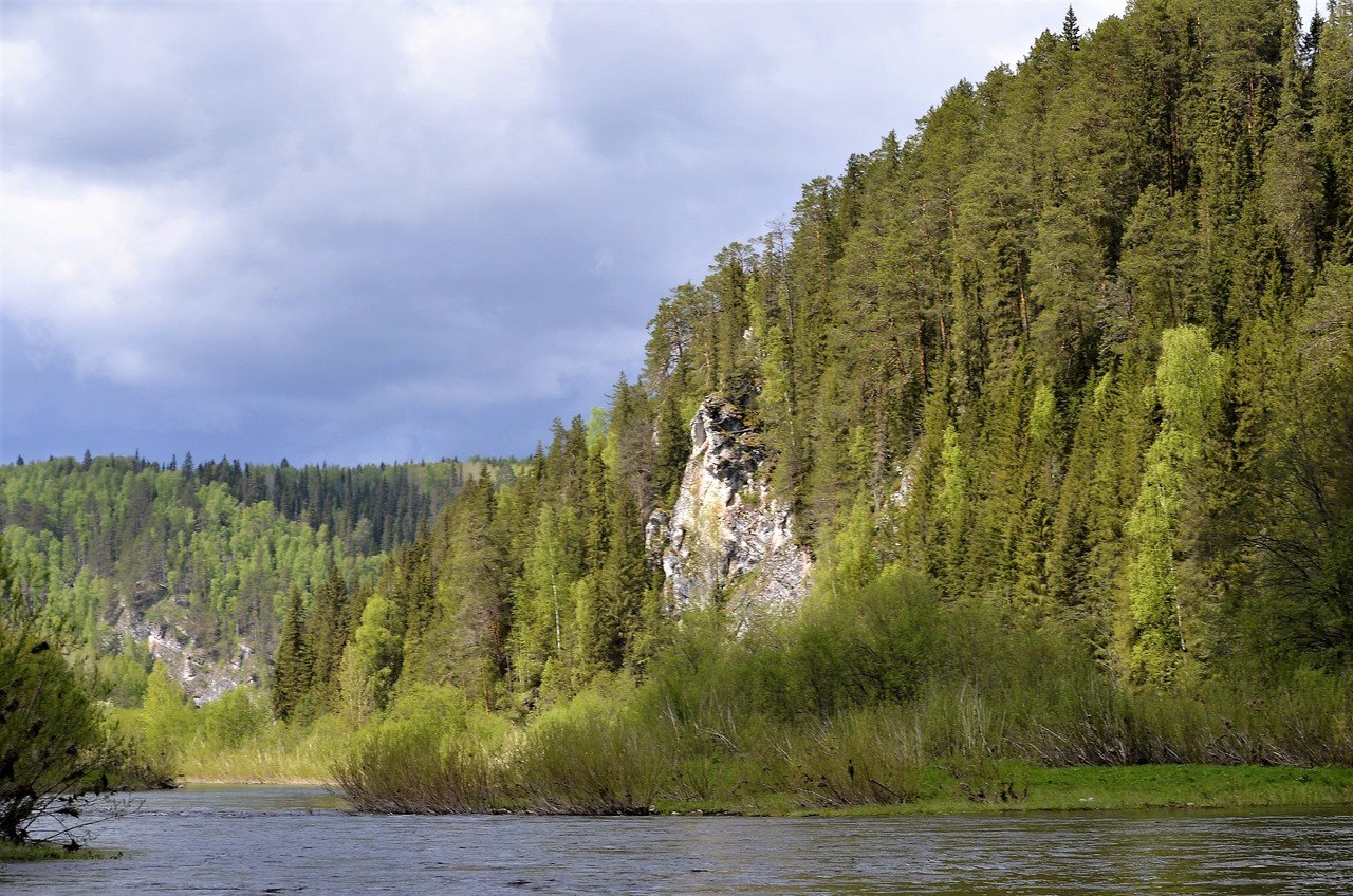 Фото койва чусовая