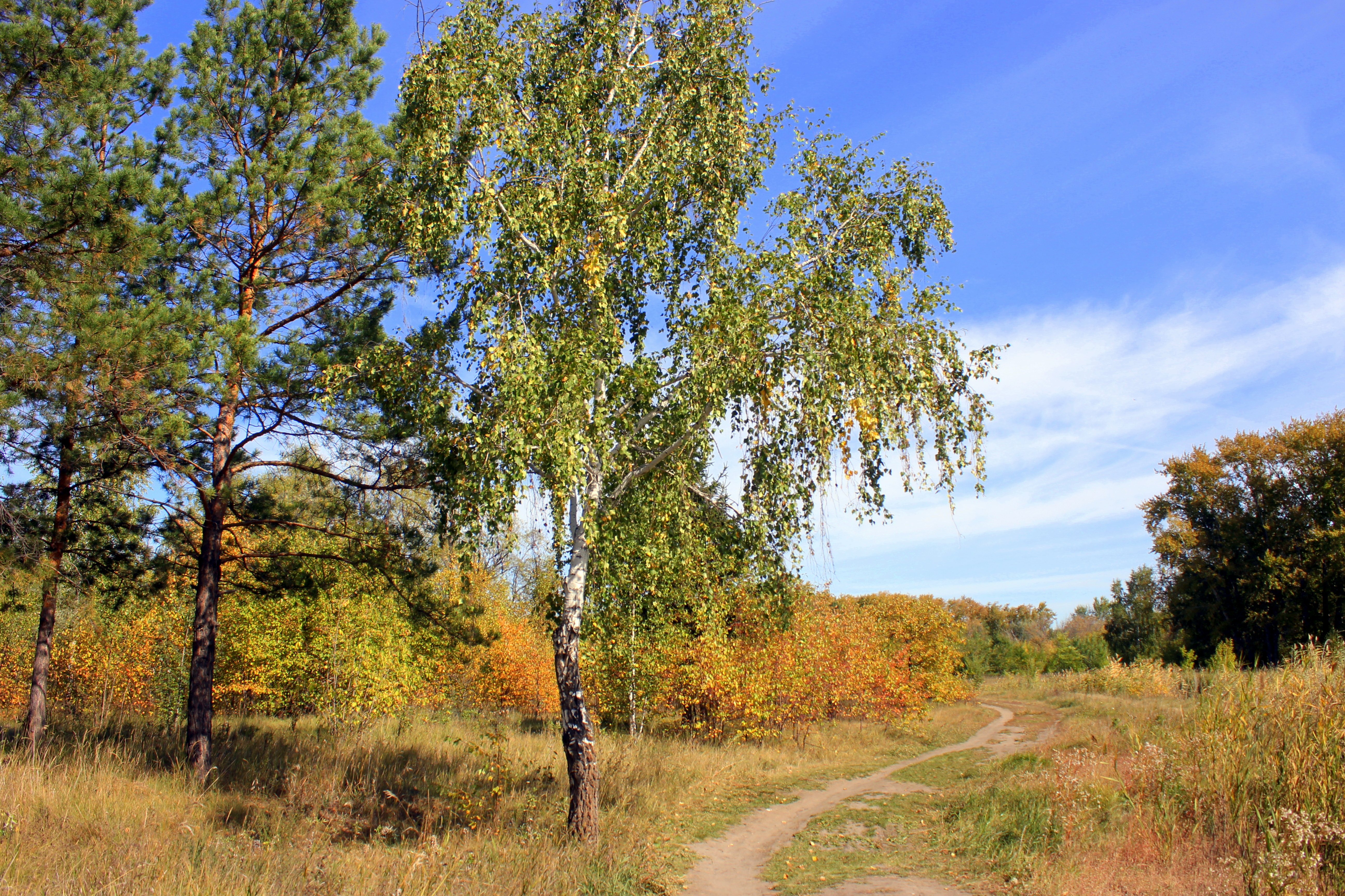 Осенью форум. Картинки конец лета начало осени. Фото осенний родимый край. Окинская Долина начало осени. Начало осени у Долганов.