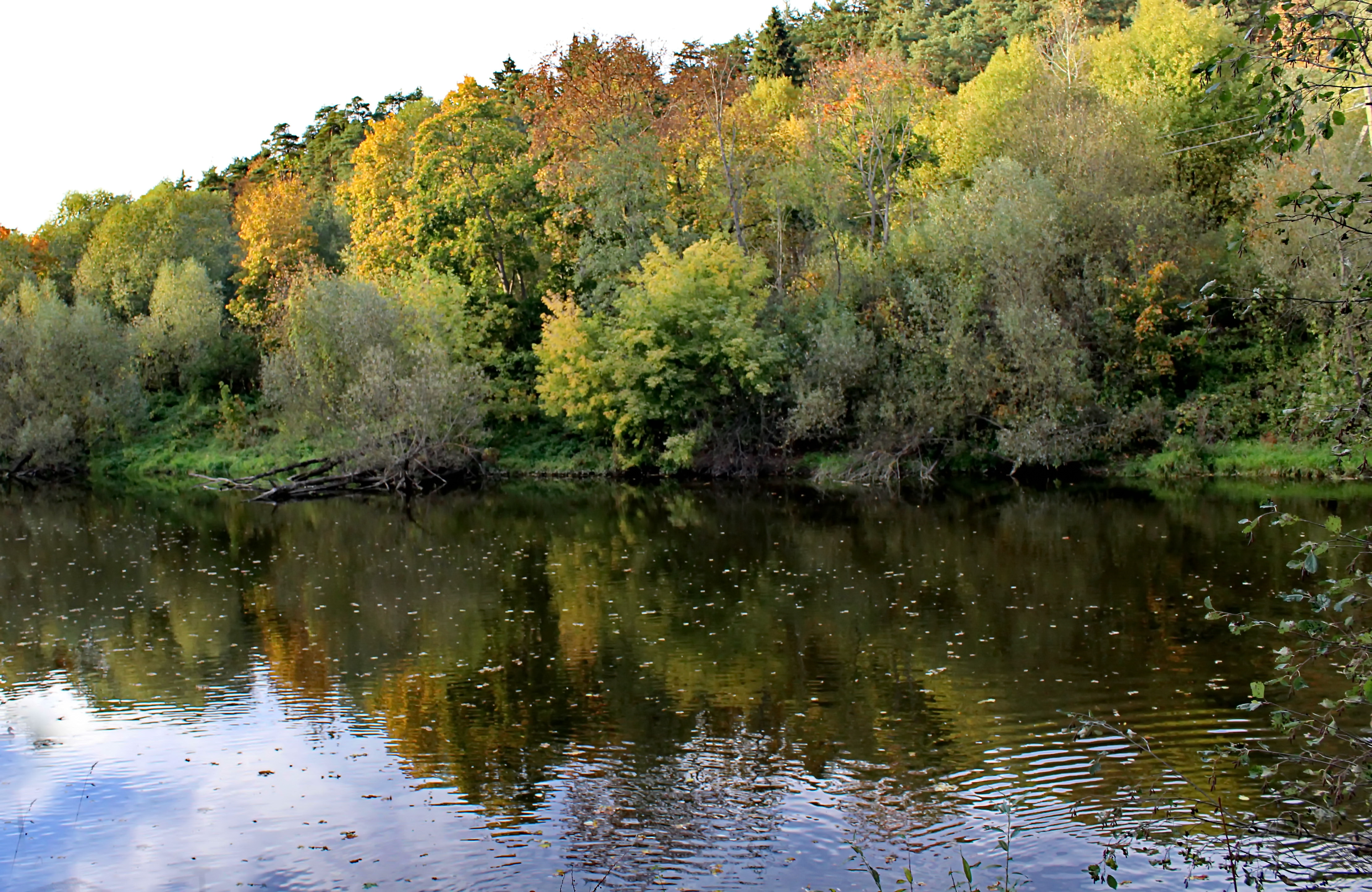 Река Пахра осенью