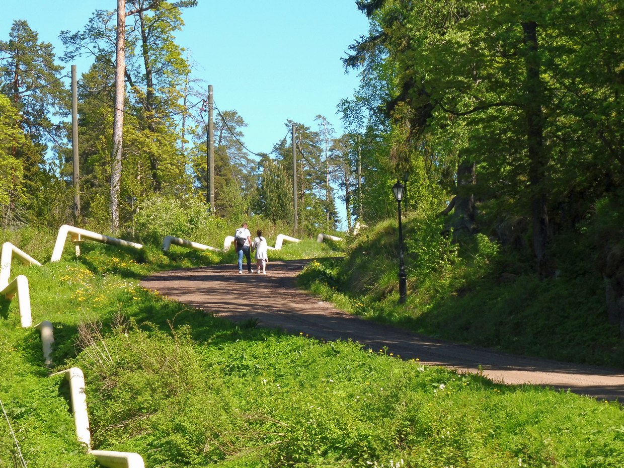 Валаам дорога. Дорога по Валаамской улице.