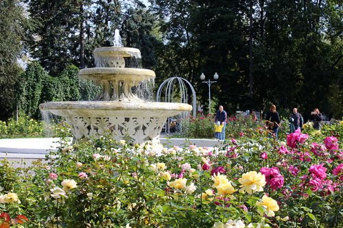 фонтан в розарии