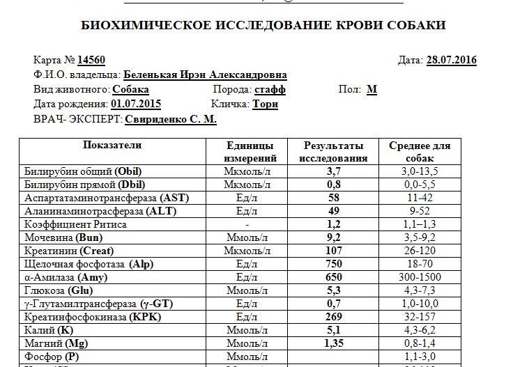 Анализы собак