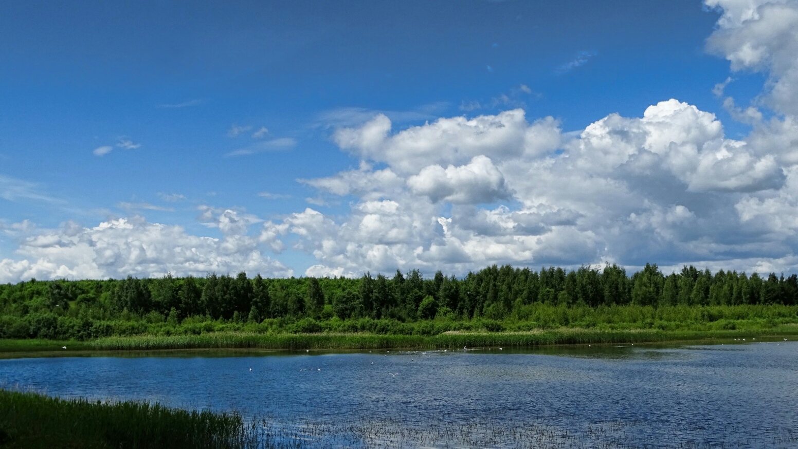 Пенеснарь озеро смоленск