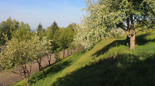 Весенний город