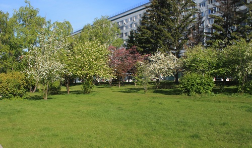 Весенний город