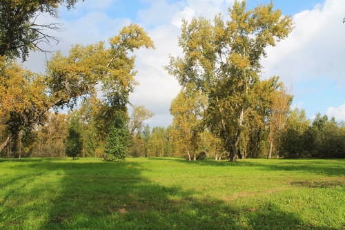 В парке