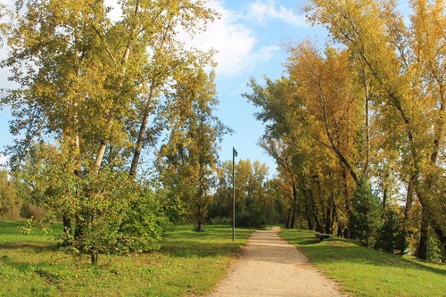 В парке