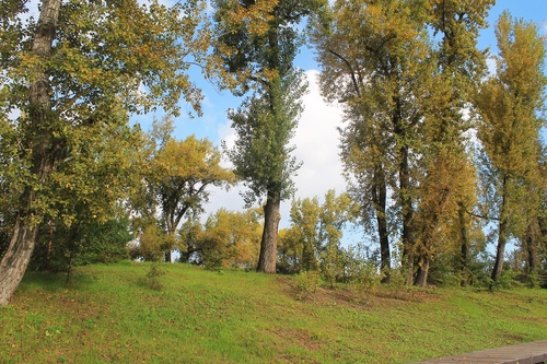 В парке