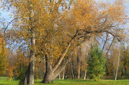 Осенний парк