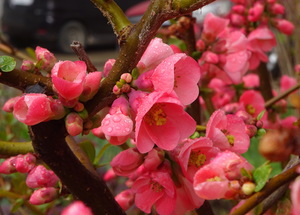 Дождливым днем