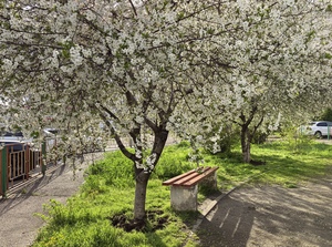 Весна приглашает насладиться ею 