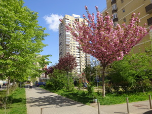 Весна в городе