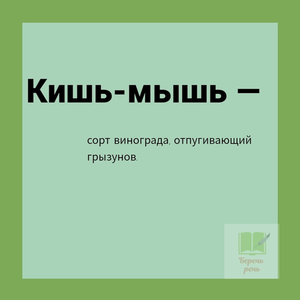 ИЗ ТОЛКОВО-БЕСТОЛКОВОГО СЛОВАРЯ