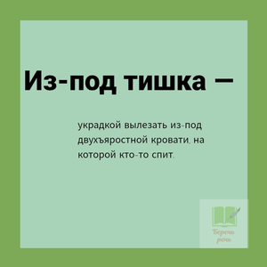 ИЗ ТОЛКОВО-БЕСТОЛКОВОГО СЛОВАРЯ