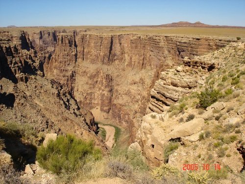 Колючка на кромке каньона