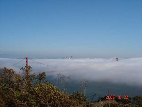 Сан-Франциско. Почему огромное облако решило спуститься с небес??