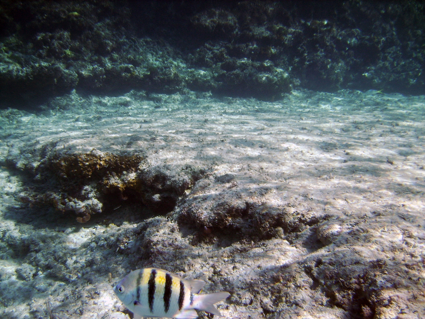 Escort Cozumel