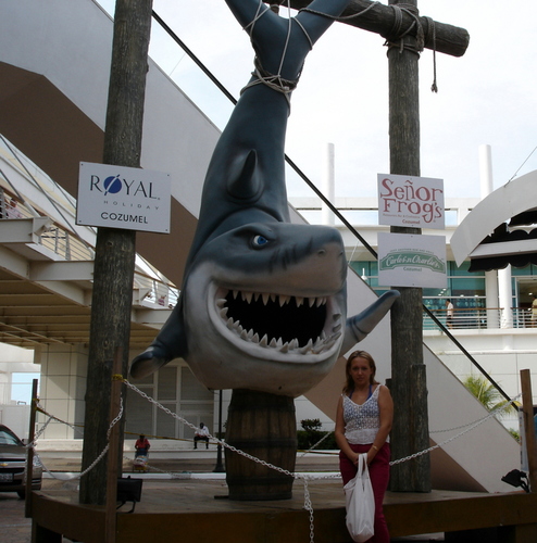 Акулы есть и в Мексике...