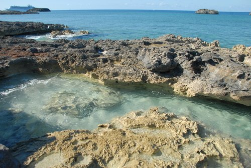 Коралловый уголок Багамских островов