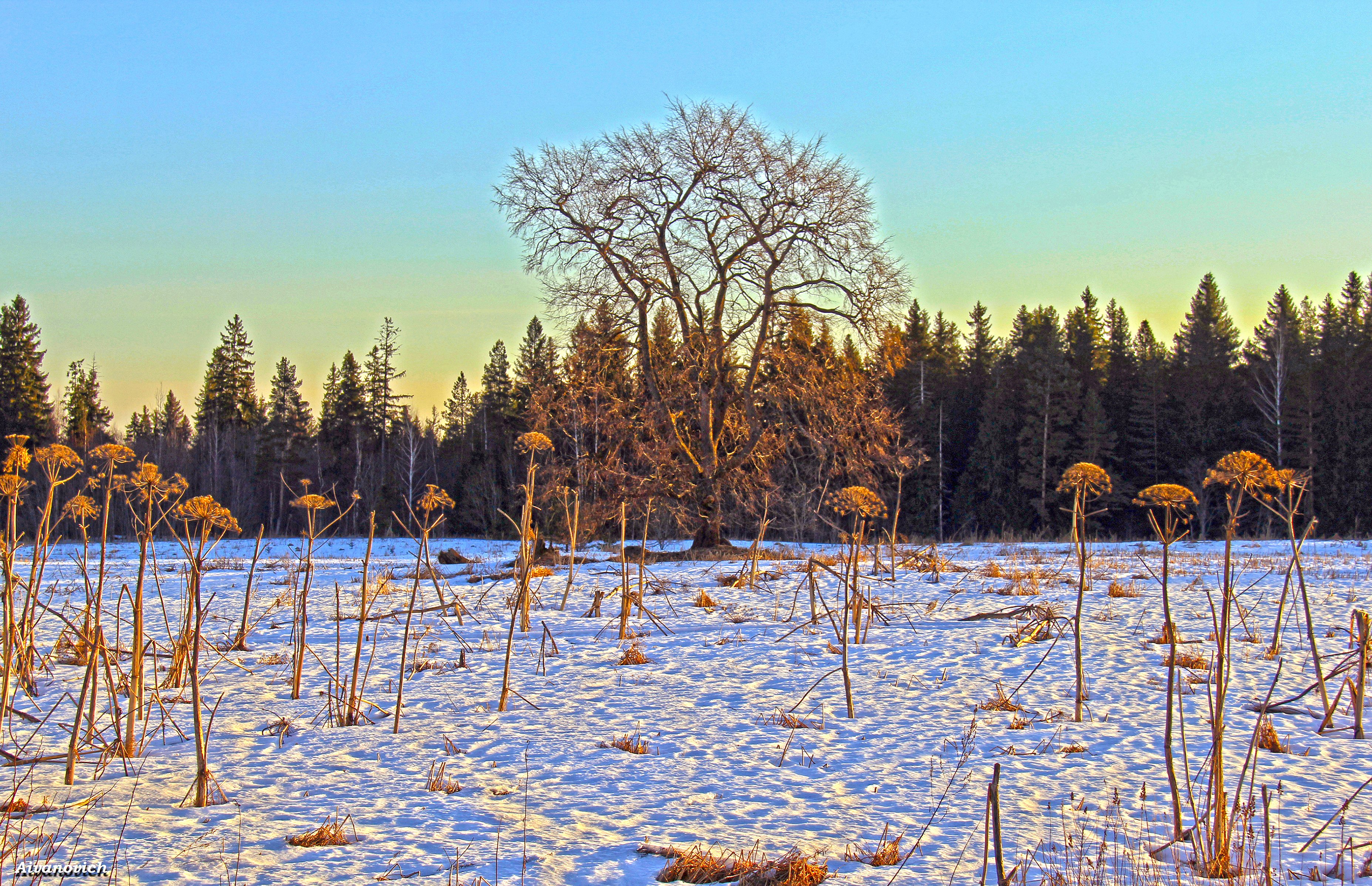 Весна не за горами картинки