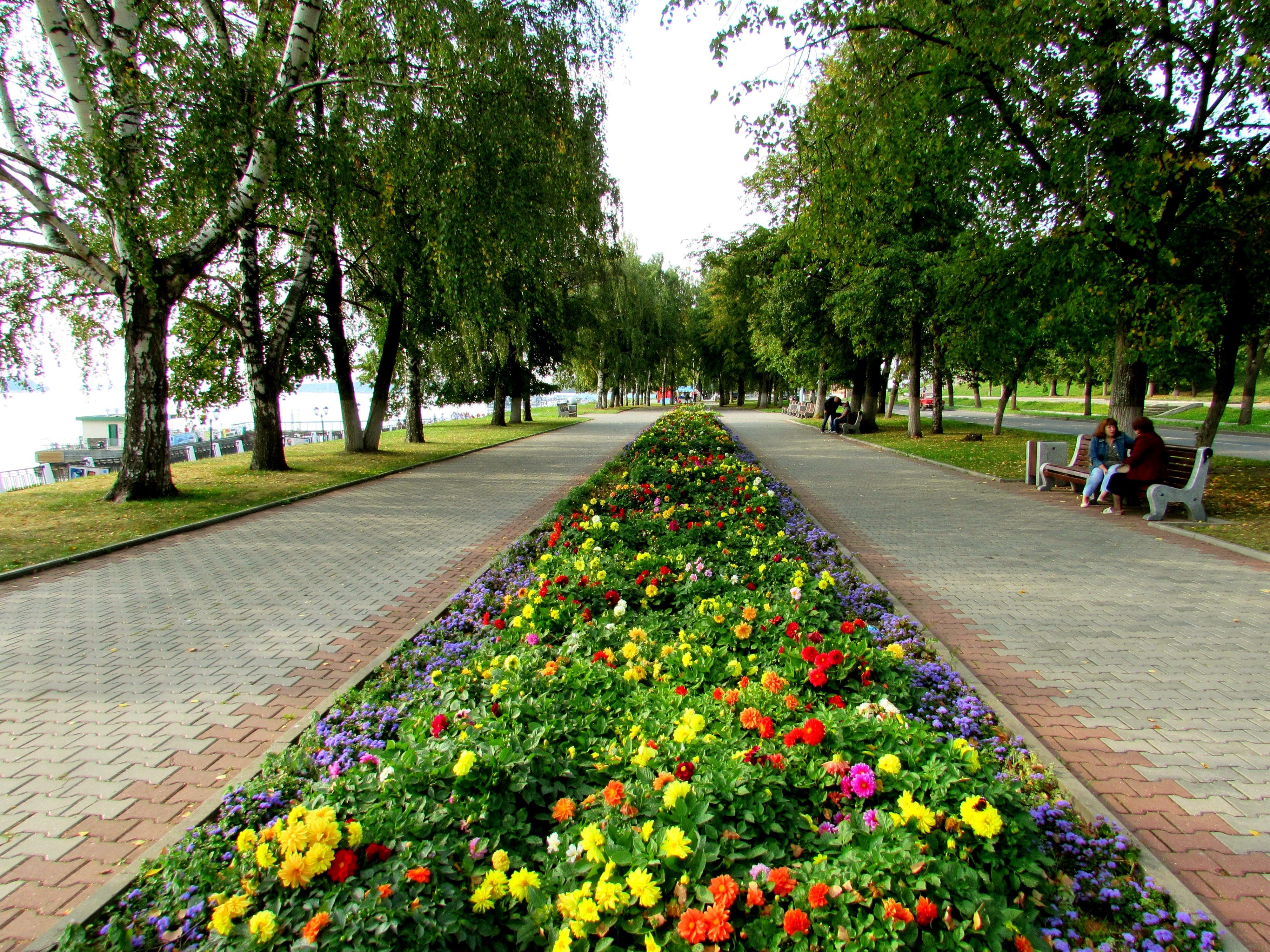 В костроме недорого. Цветы Кострома. Городские цветы Кострома. Цветочные часы в Костроме на набережной.