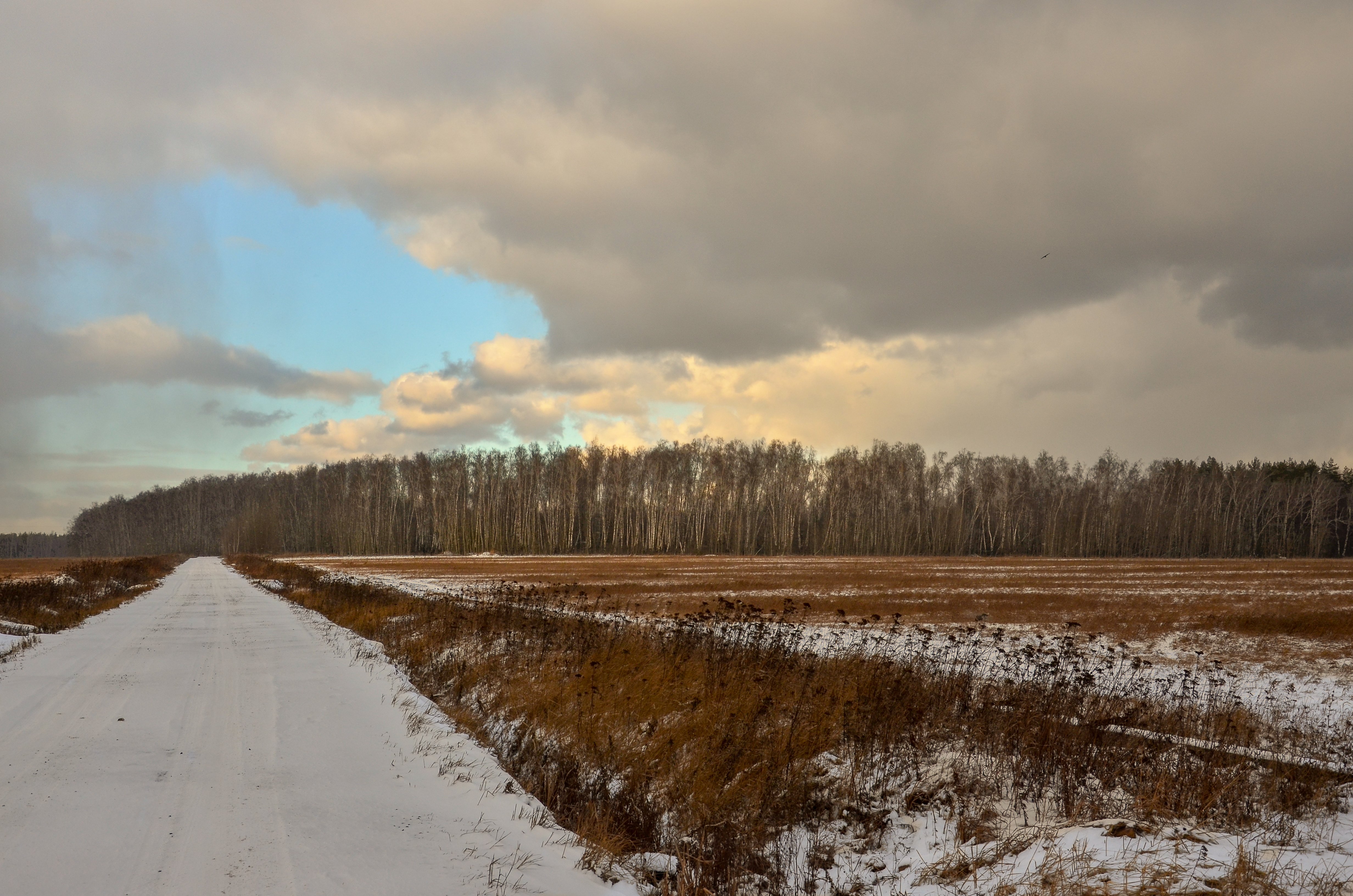 Холодом пахнуло на поля и на леса. Зимним холодом пахнуло на поля и на леса фото.