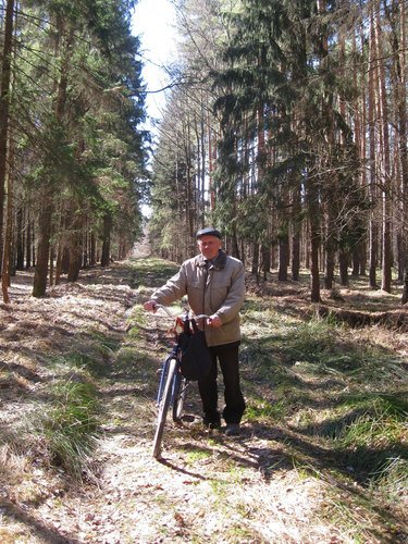 В зеремлянском лесу