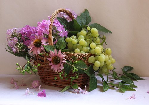 корзина с цветами и виноградом