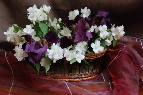корзиночка с цветами жасмина и ирисами