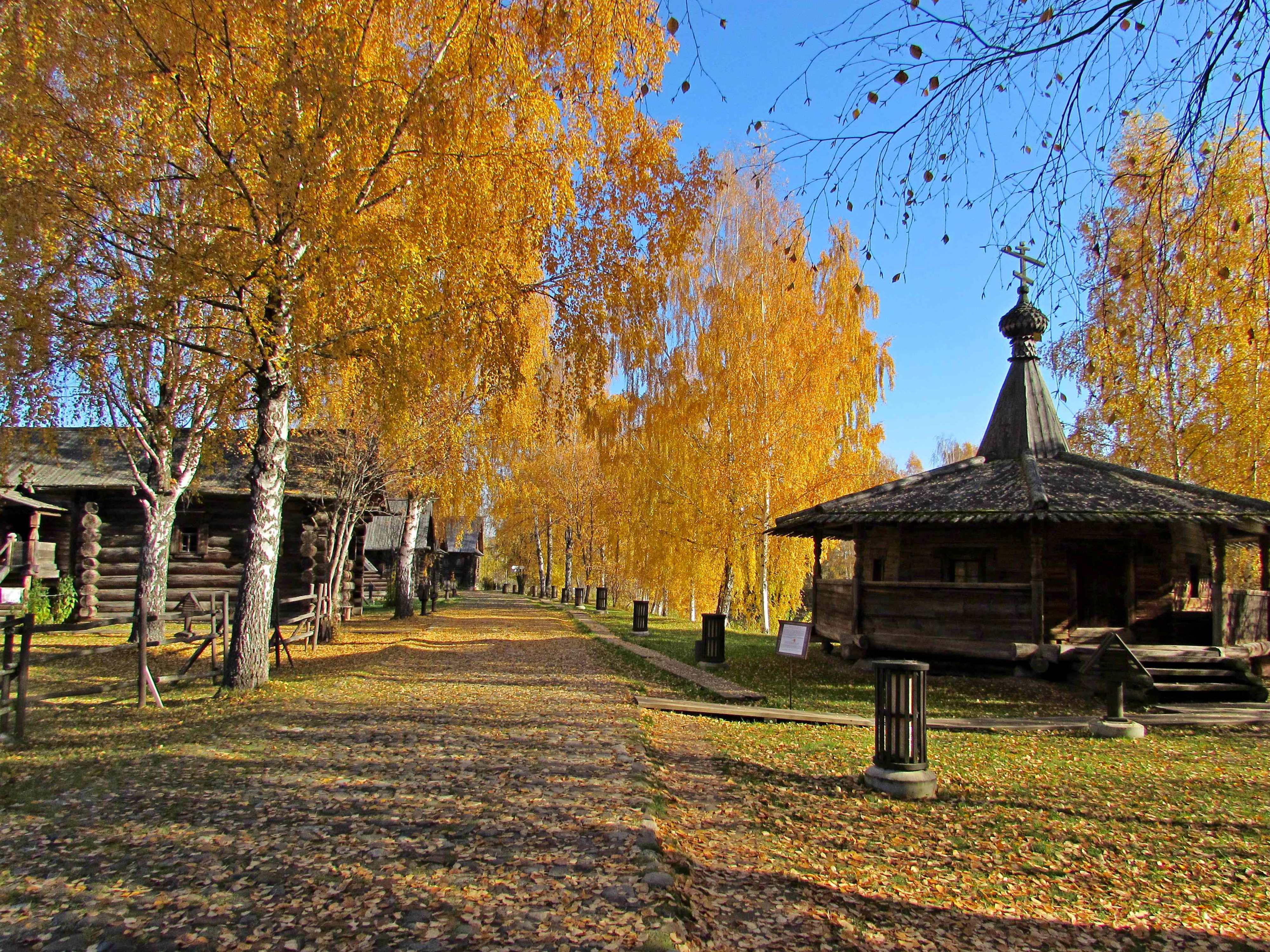 Кострома Осенью Фото