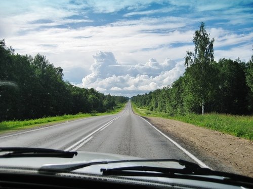 Дорога длинная (Псковская область)